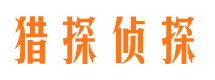 阳西侦探公司